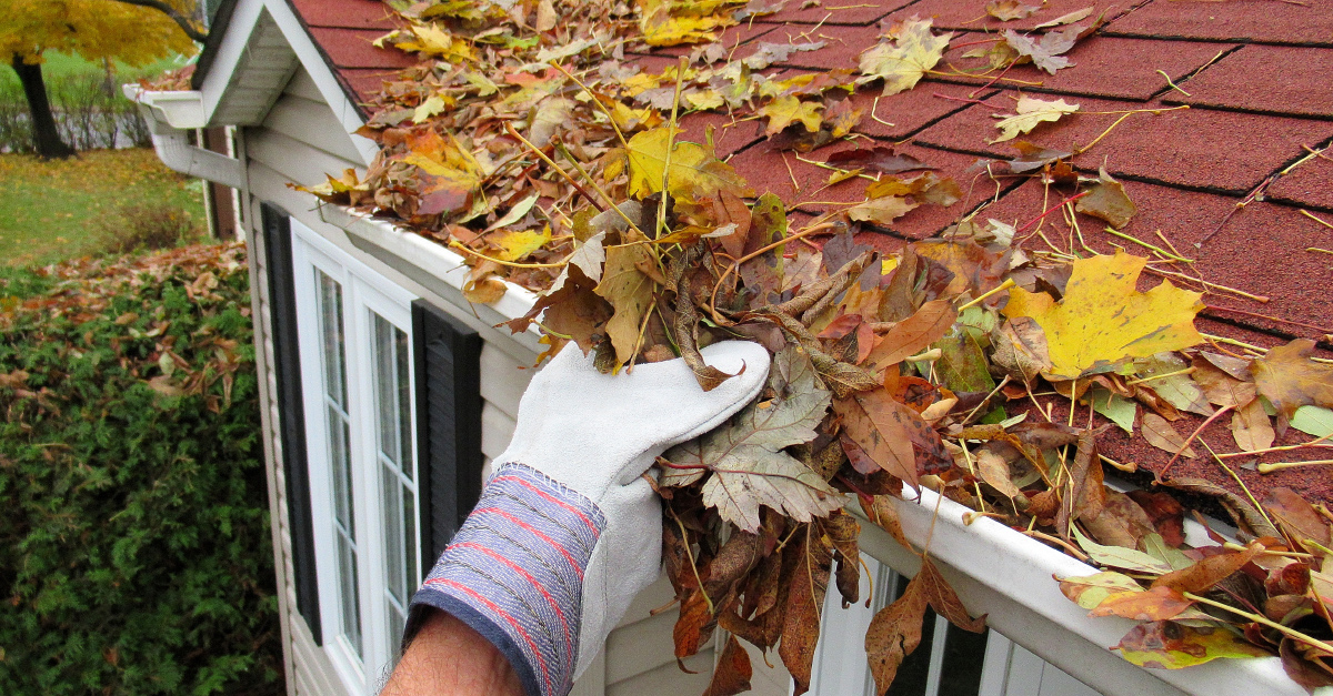 Fall Preparedness tips from Anywhere Insurance