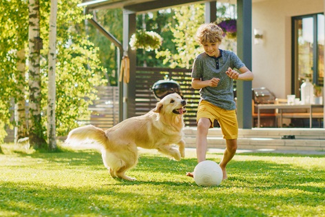 Person playing soccer with a pet dog in a backyard, highlighting the joy of pet ownership and the value of HomePoint Insurance pet insurance coverage for unexpected veterinary expenses and pet care needs.