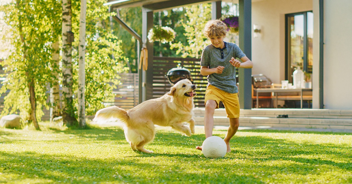 Peace of Mind for Pet Parents: Exploring Pet Insurance