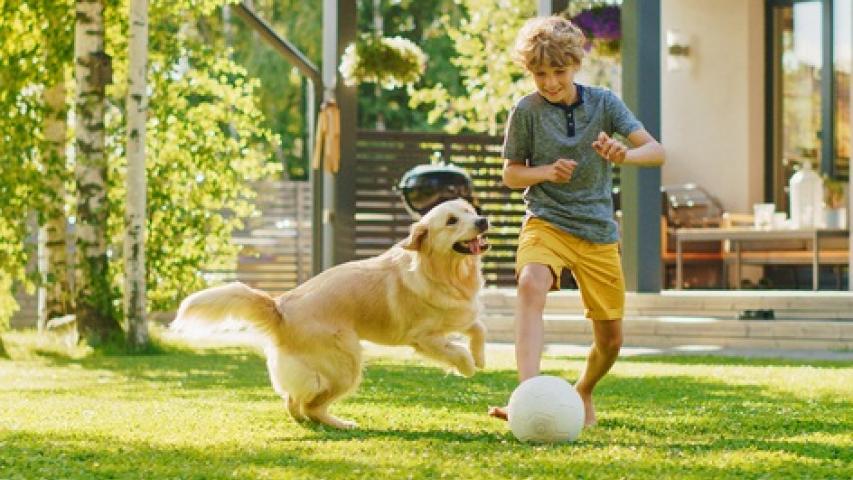 Person playing soccer with a pet dog in a backyard, highlighting the joy of pet ownership and the value of HomePoint Insurance pet insurance coverage for unexpected veterinary expenses and pet care needs.